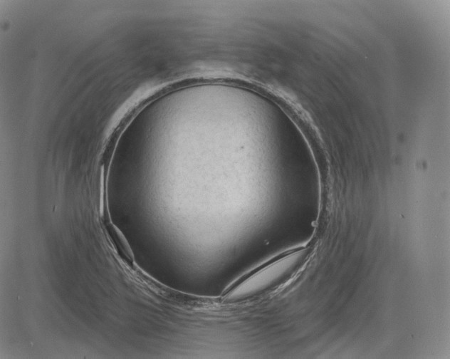 X0000083611175200702260920