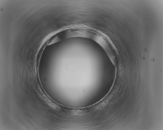 X0000083611176200702260920