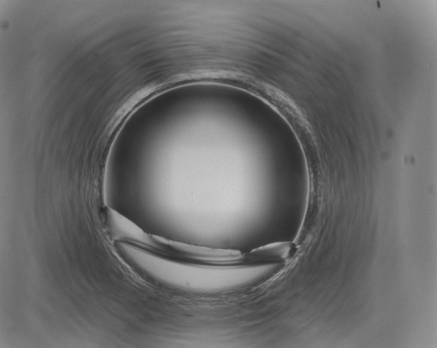 X0000083611177200702260920