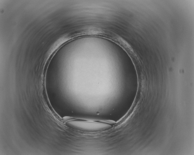 X0000083611178200702260920