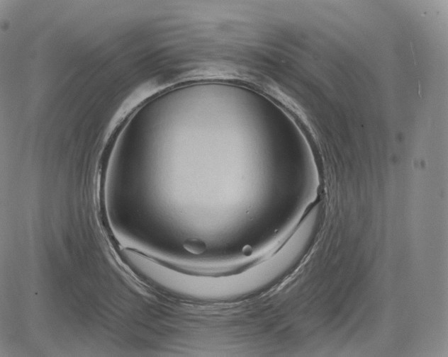 X0000083611179200702260920