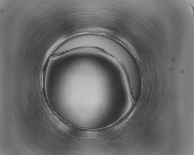 X0000083611180200702260920