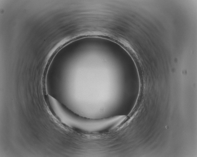 X0000083611181200702260920