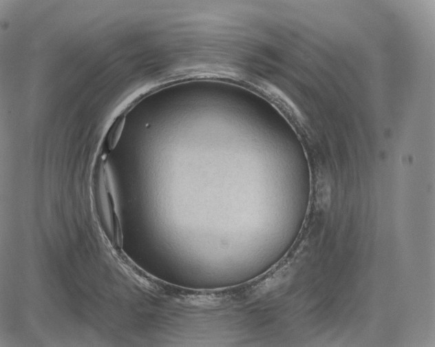 X0000083611182200702260920