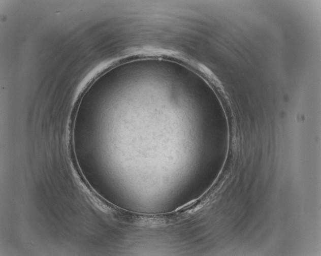 X0000083611183200702260920