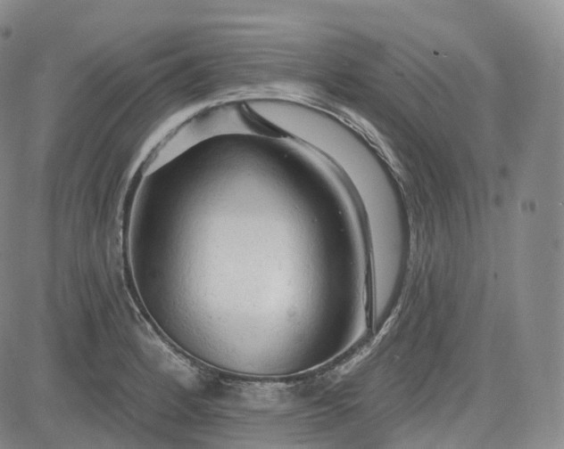 X0000083611184200702260920