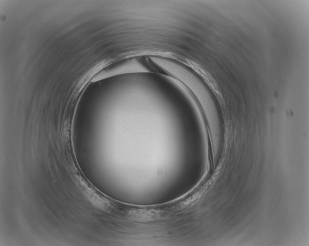 X0000083611185200702260920