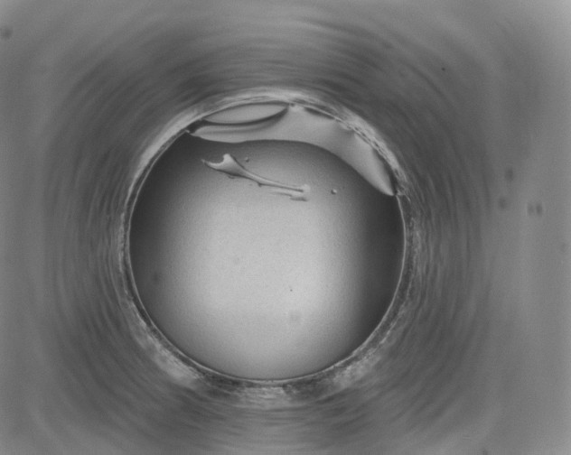 X0000083611186200702260920