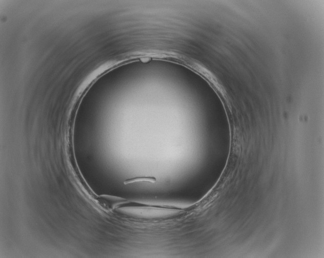 X0000083611187200702260920