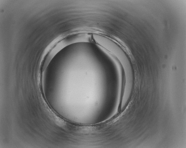 X0000083611188200702260920