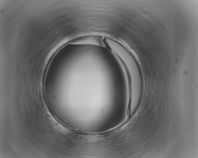 X0000083611189200702260920