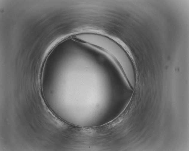 X0000083611191200702260920