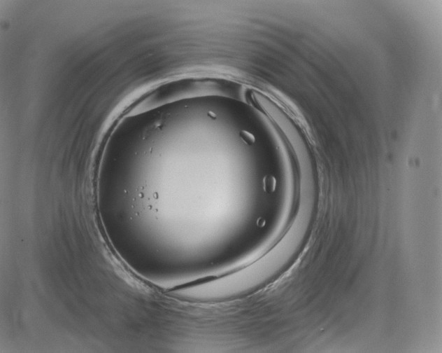 X0000083611192200702260920