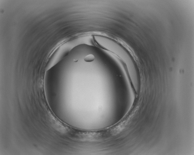 X0000083611193200702260920