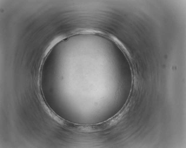 X0000083611194200702260920