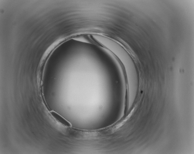 X0000083611196200702260920