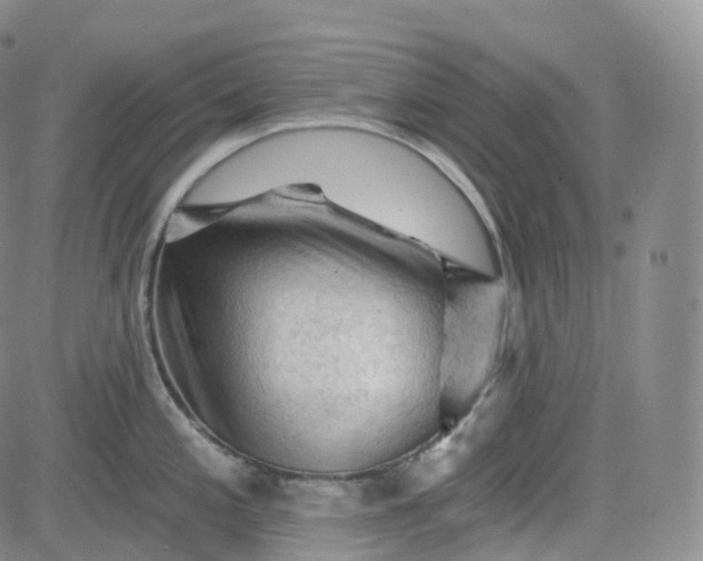 X0000083611197200702260920