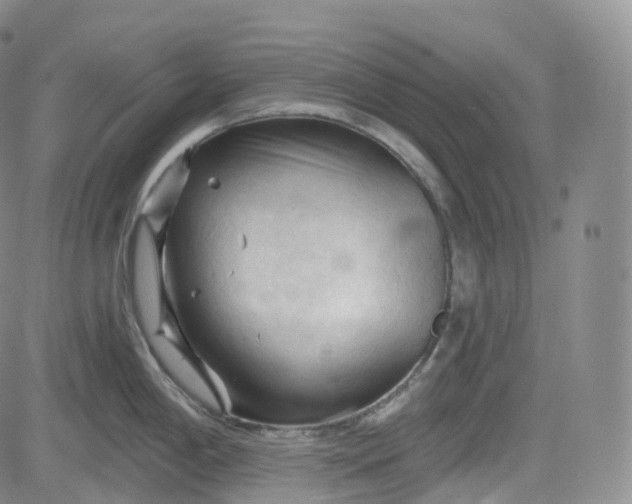 X0000083611198200702260920