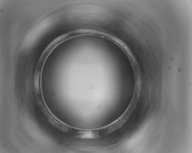 X0000083611199200702260920