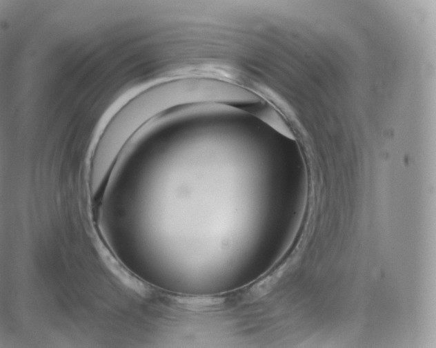 X0000083611200200702260920