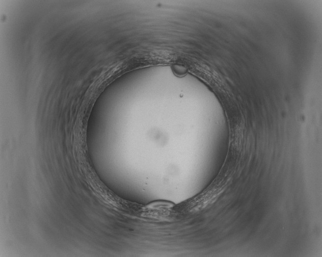 X0000083611201200702260919