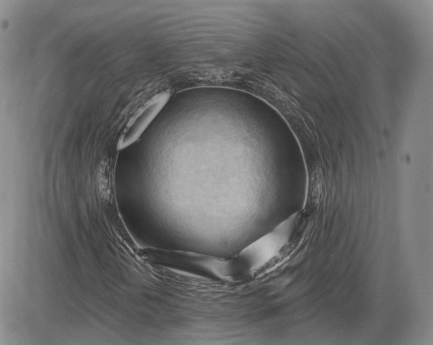 X0000083611202200702260919