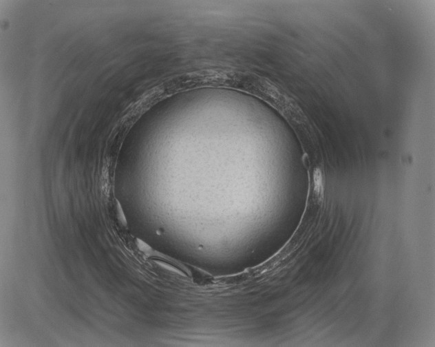 X0000083611203200702260919