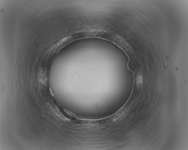 X0000083611204200702260919