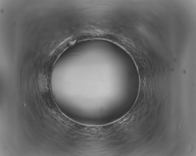 X0000083611205200702260919