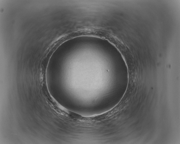 X0000083611206200702260919