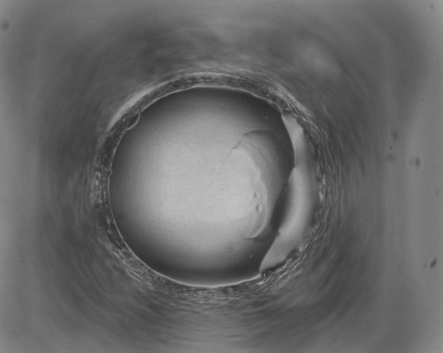 X0000083611208200702260919