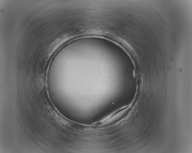 X0000083611212200702260919