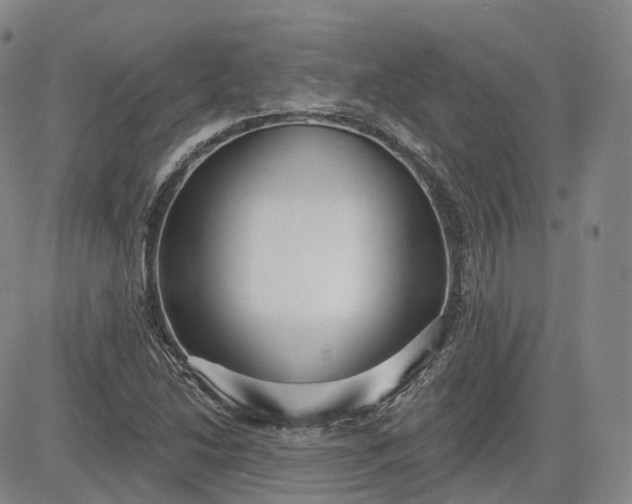 X0000083611214200702260919