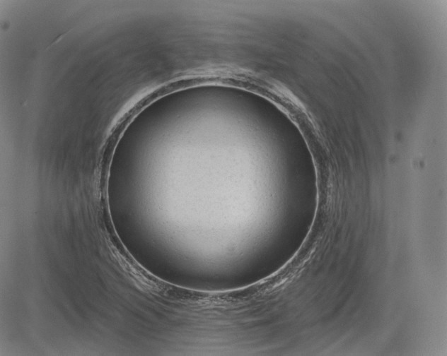 X0000083611216200702260919