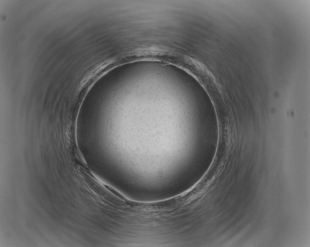 X0000083611217200702260919