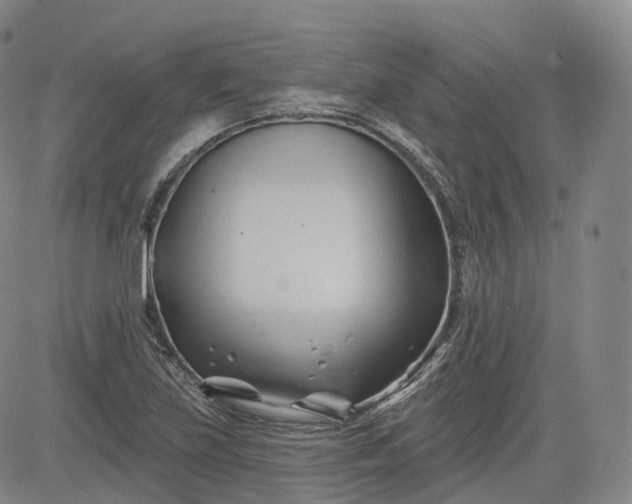 X0000083611219200702260919