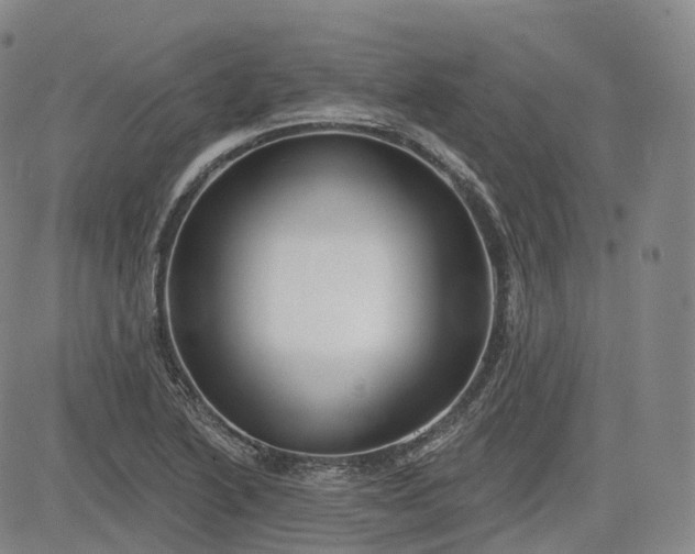 X0000083611222200702260919