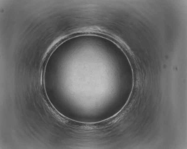 X0000083611224200702260919