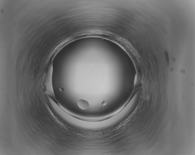 X0000083611225200702260919