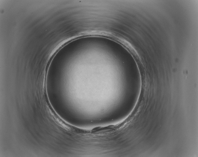 X0000083611228200702260919