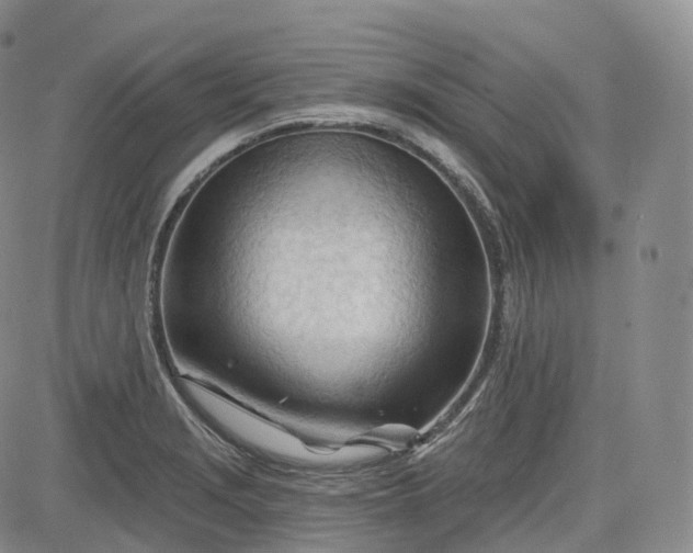 X0000083611229200702260919