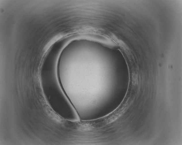 X0000083611230200702260919