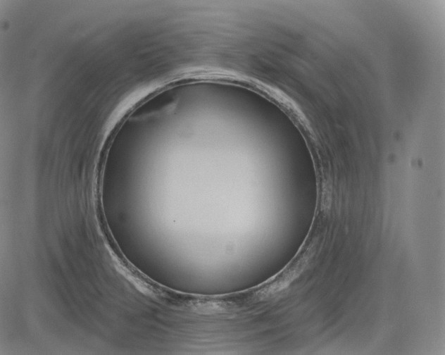 X0000083611231200702260919