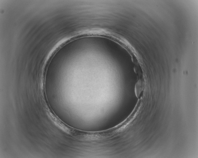 X0000083611232200702260919