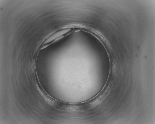 X0000083611233200702260919