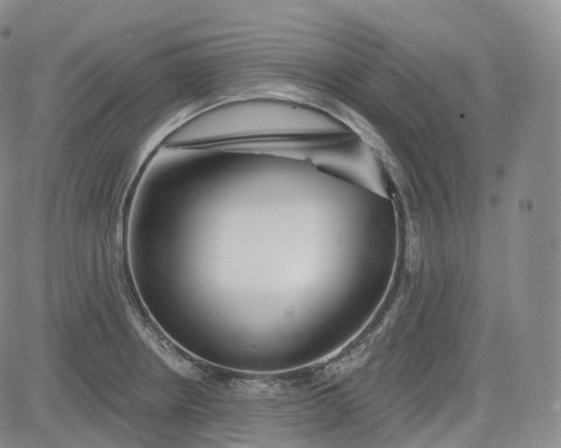 X0000083611234200702260919