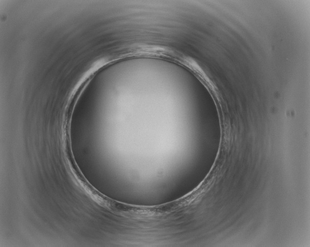 X0000083611235200702260919