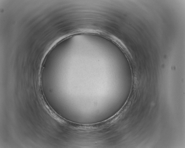 X0000083611236200702260919