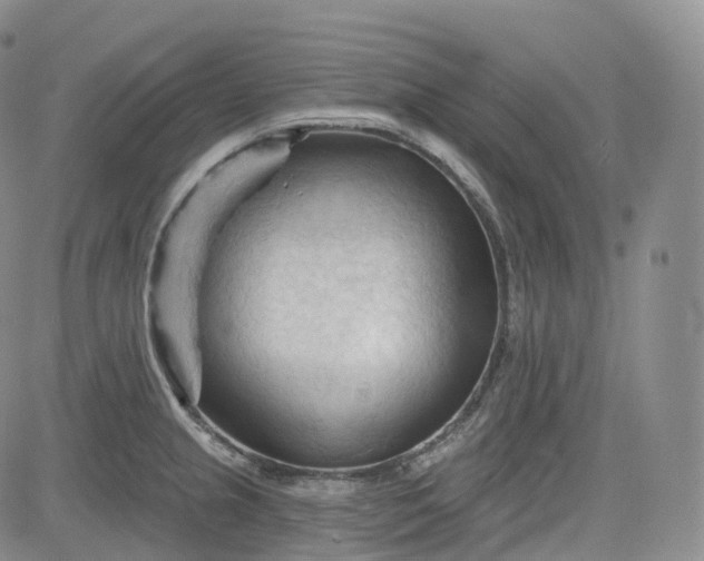 X0000083611237200702260919