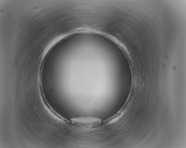 X0000083611239200702260920